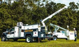 Fast Growing Service Sector