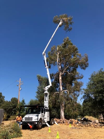 Firm Grip on Efficiency and Safety