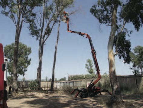 Cormidi Unveils Combination Crane-Aerial Work Platform | Daily Construction News
