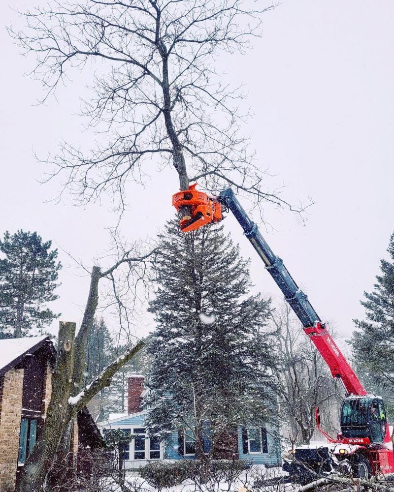 Rotating Telehandler with Tree-Cutting Attachment Boosts Efficiency, Safety