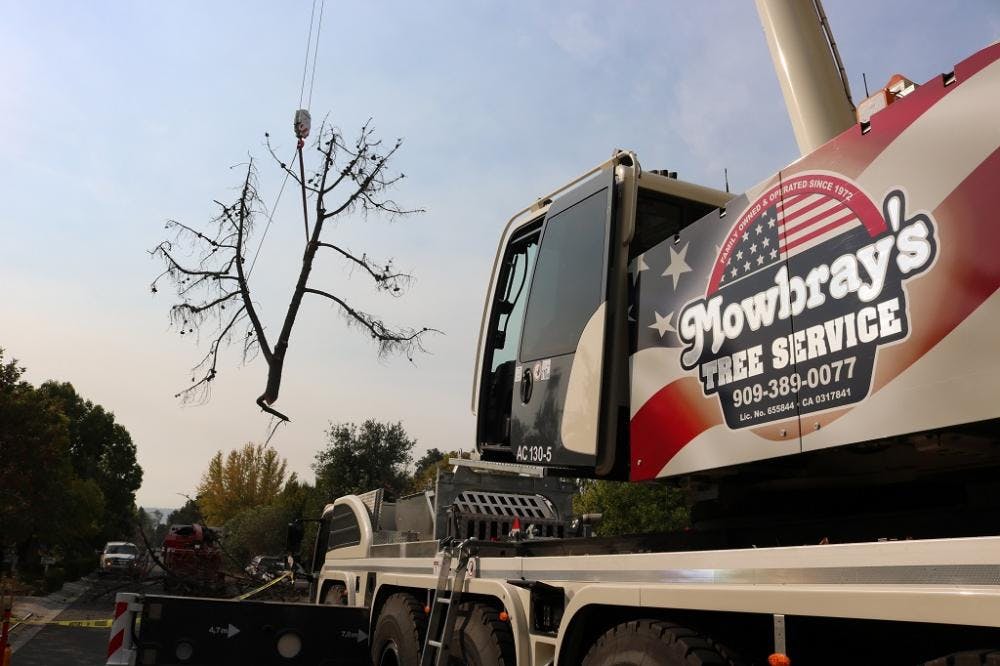 Mowbray's Tree Service Answers Call for Tree Removal in High Hazard Zones with the Aid of Demag
